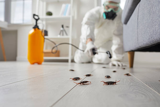 Affordable Cockroach Control solutions in Donald, OR
